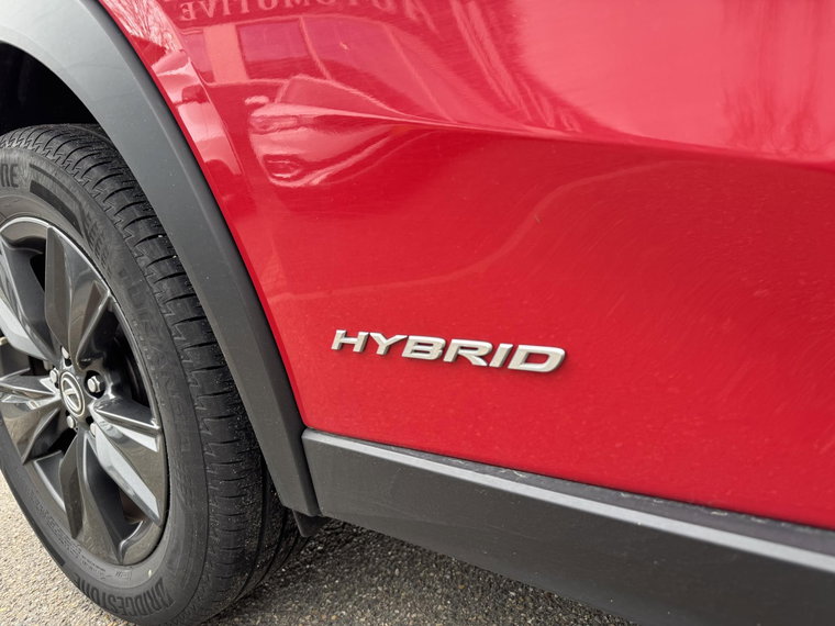 Vehicle Image 10