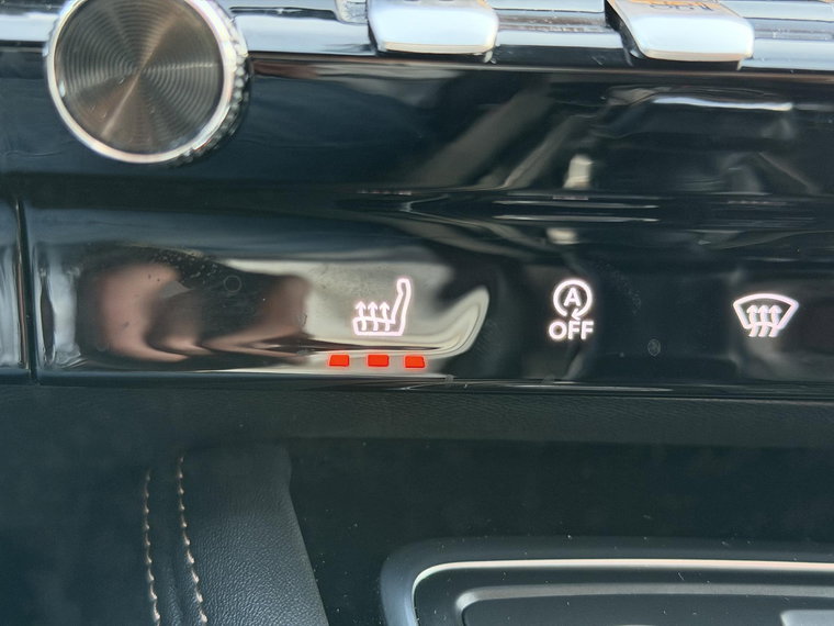 Vehicle Image 39