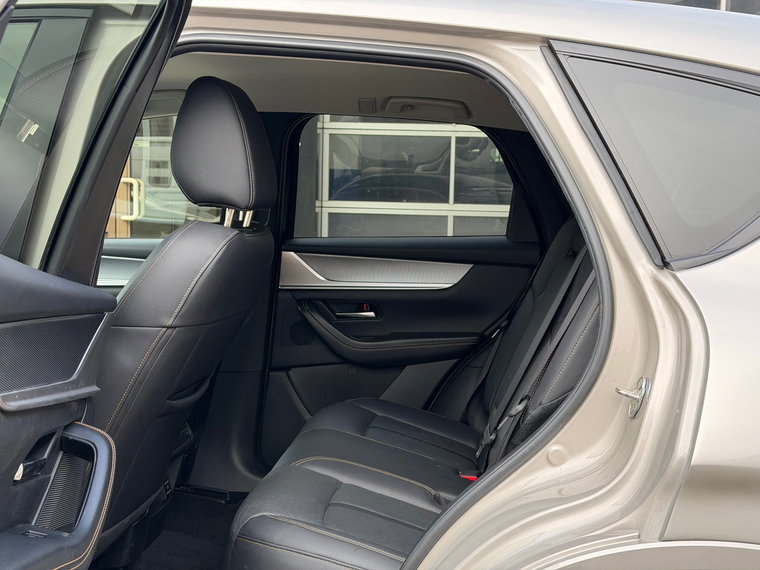 Vehicle Image 19