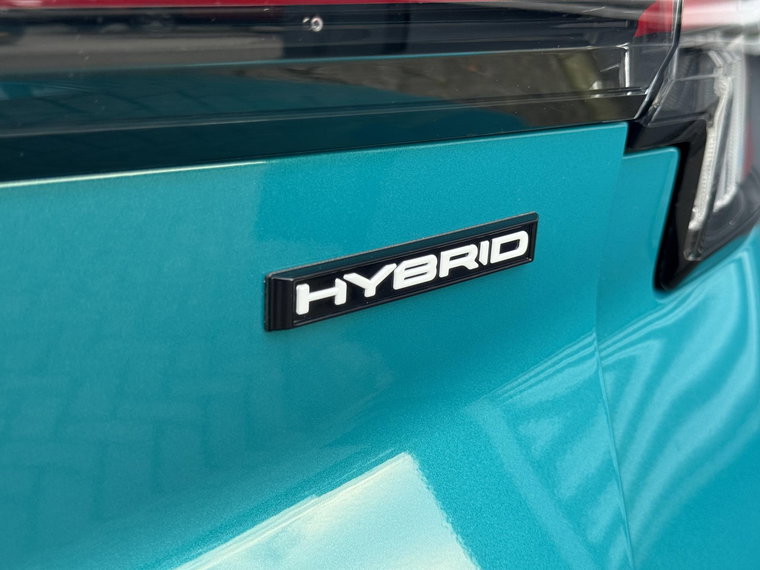 Vehicle Image 19