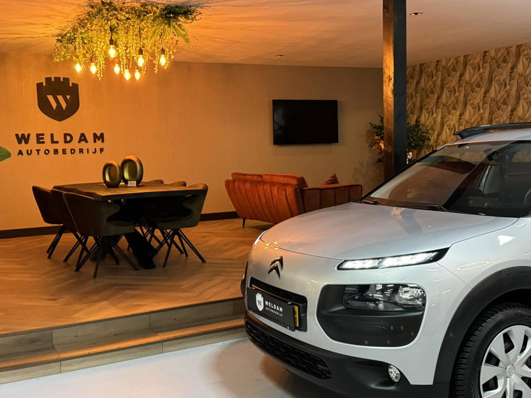 Vehicle Image 11