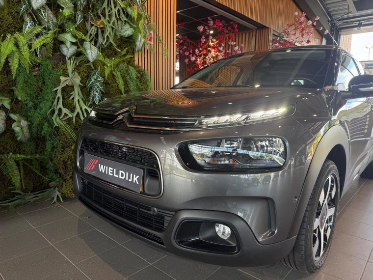 Vehicle Image 10