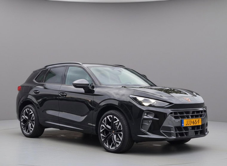 Vehicle Image 10