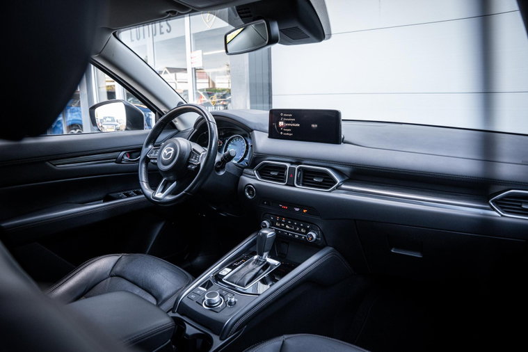 Vehicle Image 19