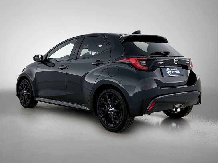 Vehicle Image 9