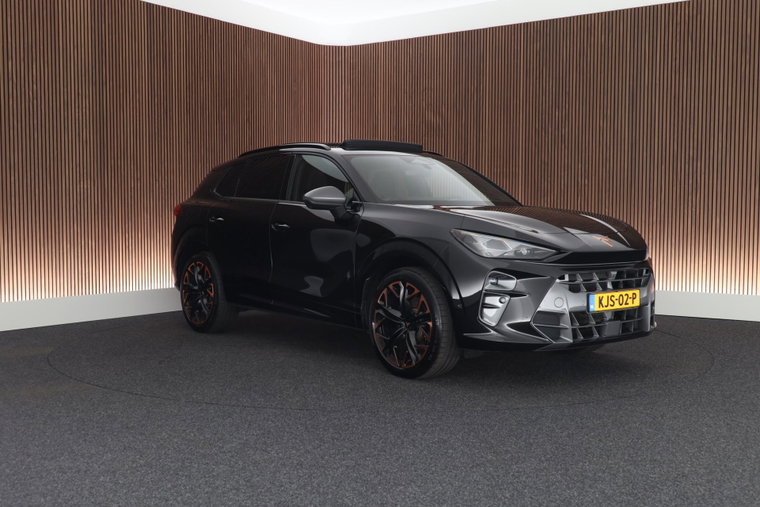 Vehicle Image 13