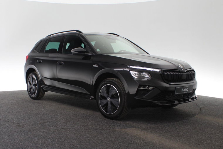 Vehicle Image 39