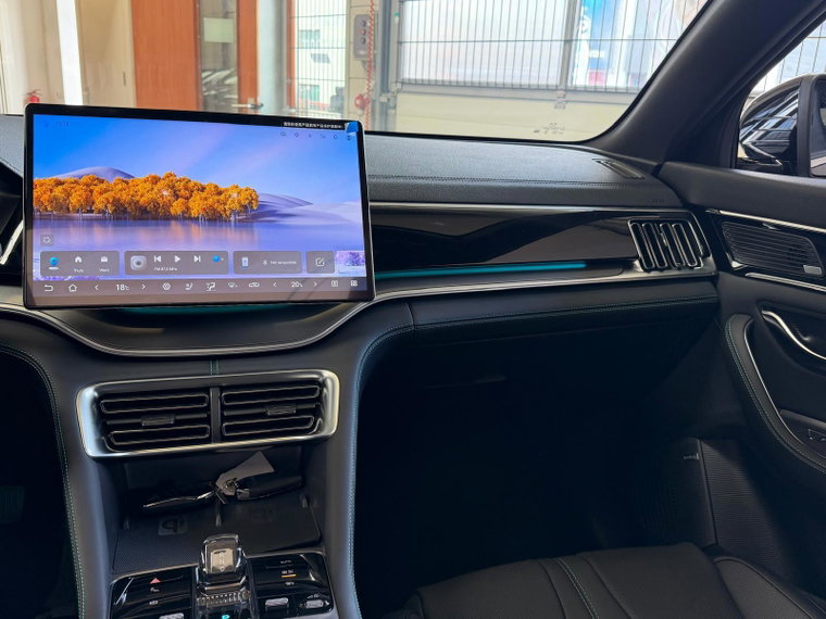 Vehicle Image 20