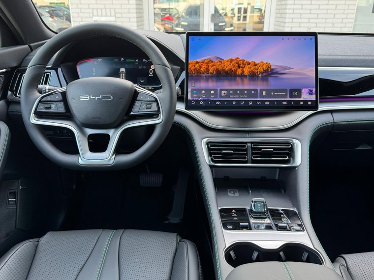 Vehicle Image 11