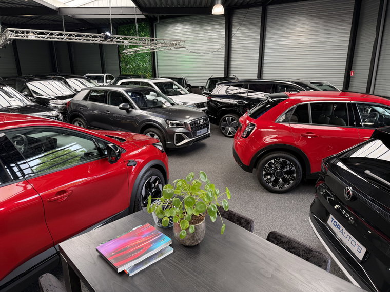 Vehicle Image 10