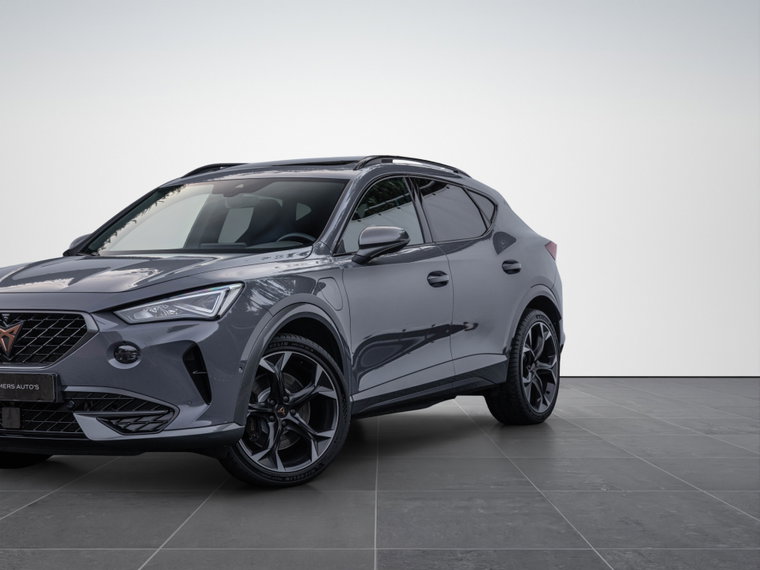 Vehicle Image 19