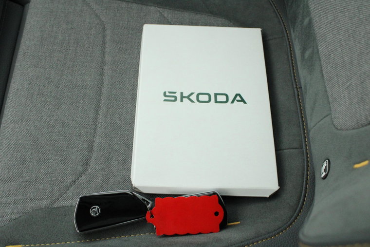 Vehicle Image 39