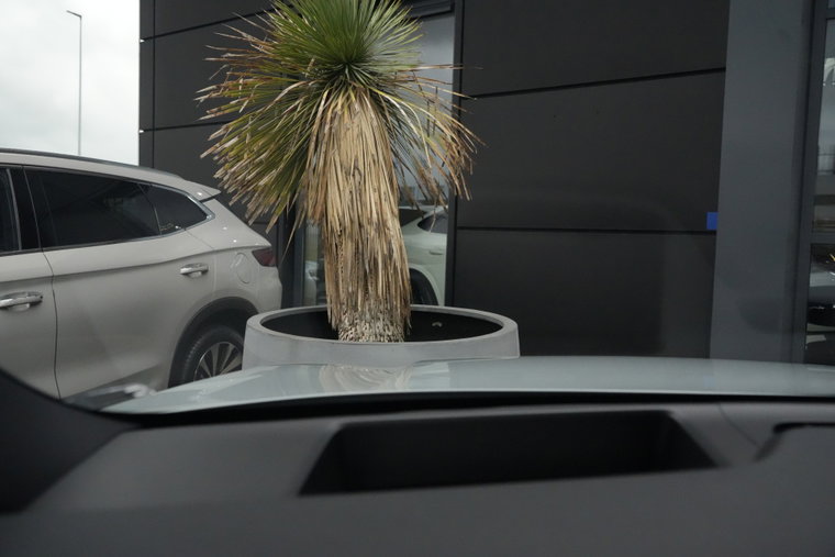 Vehicle Image 19