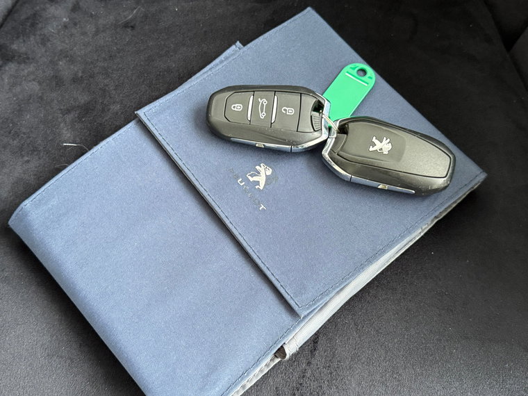 Vehicle Image 39
