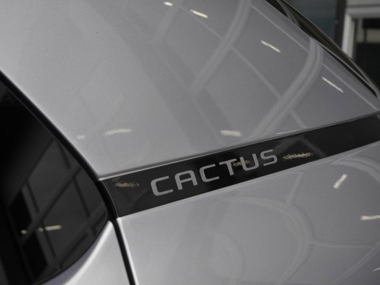 Vehicle Image 39