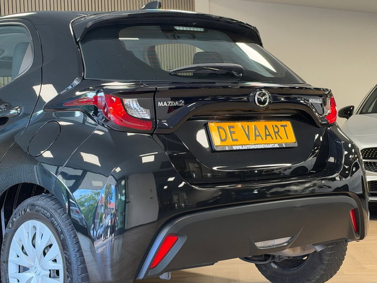 Vehicle Image 10