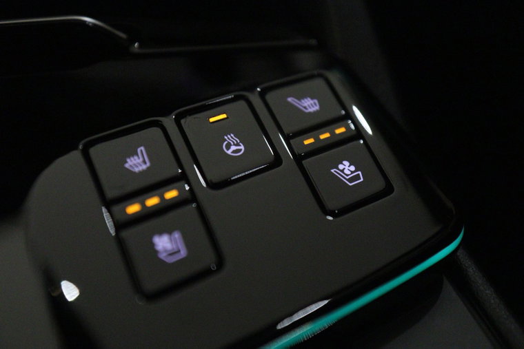 Vehicle Image 39