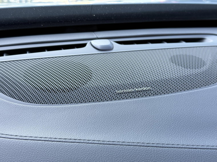 Vehicle Image 39