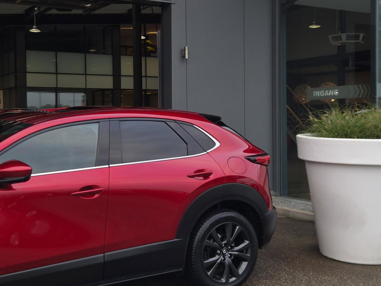 Vehicle Image 30
