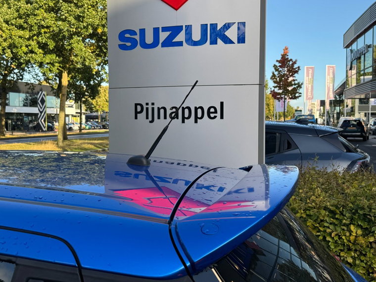 Vehicle Image 19