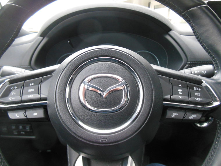 Vehicle Image 17