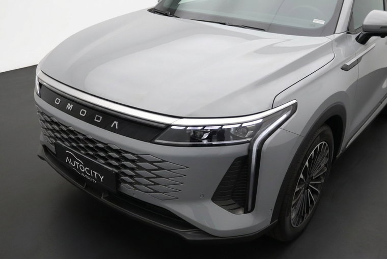 Vehicle Image 10