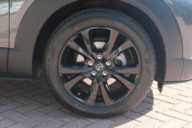 Vehicle Image 30